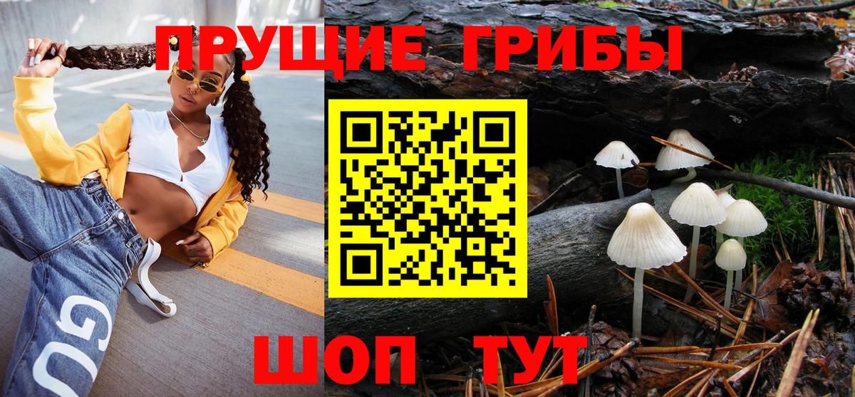 Псилоцибиновые грибы мицелий Верхняя Салда
