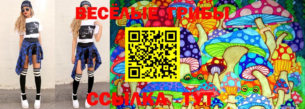 Галлюциногенные грибы прущие грибы  Вход с VPN  Верхняя Салда 